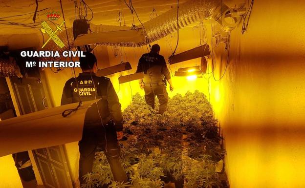 Tres detenidos en Paterna y Bayárcal por cultivar marihuana