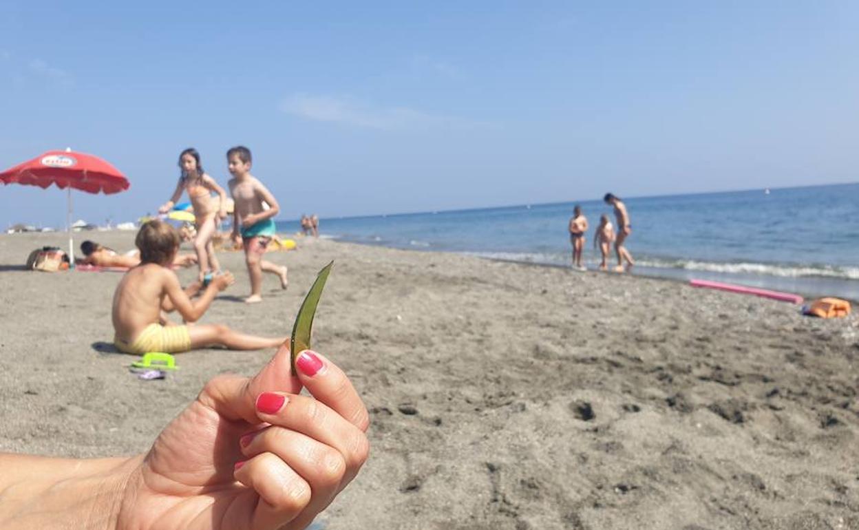 Cristal hallado ayer en la playa Sirena Loca de Adra. 