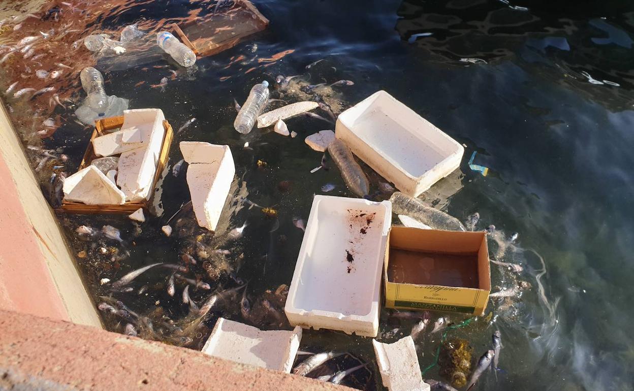 Falta de civismo y limpieza en el Puerto de Adra