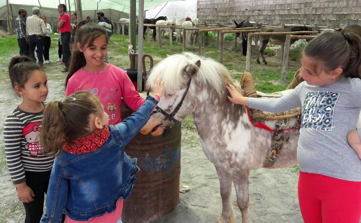 El caballo, protagonista en Adra este fin de semana