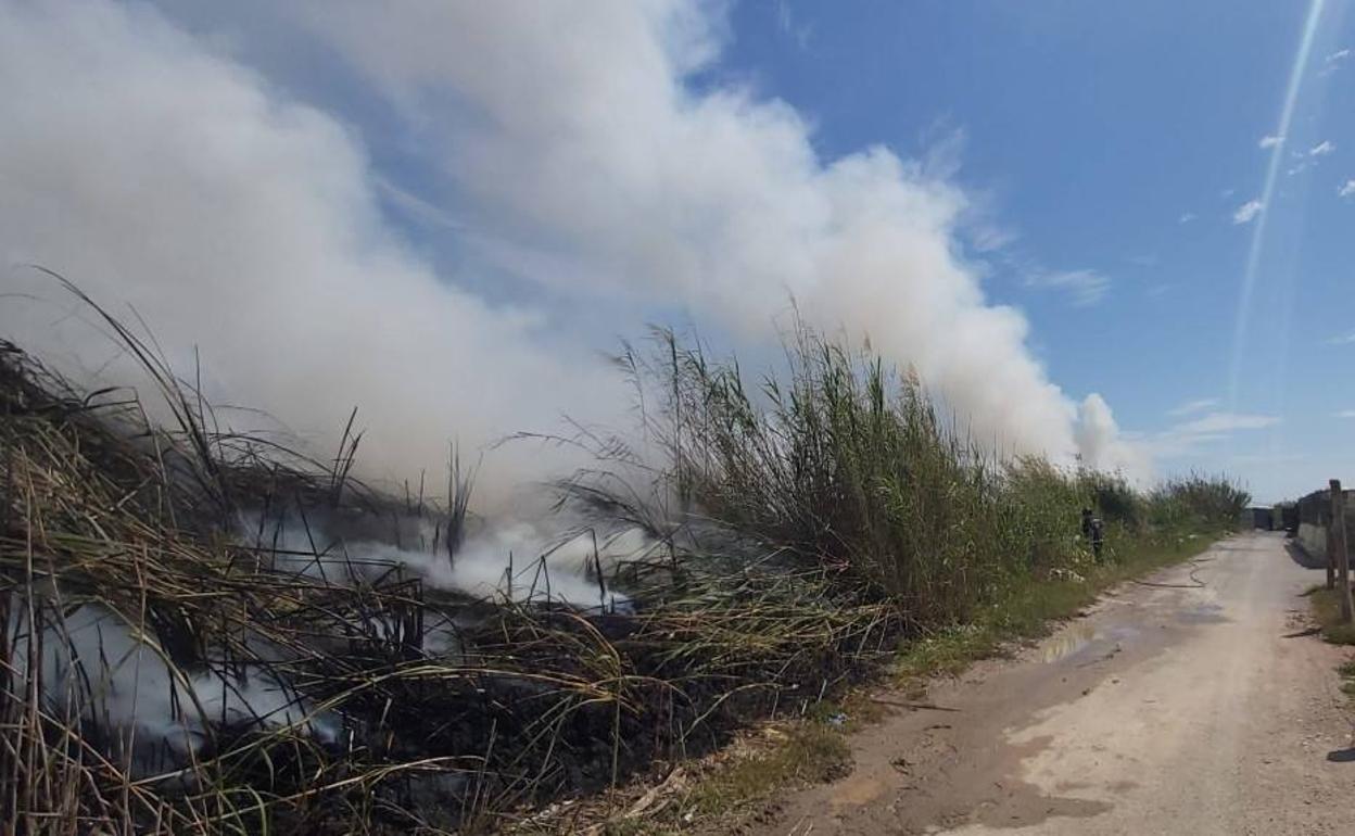 Incendio en las Albuferas de Adra. 