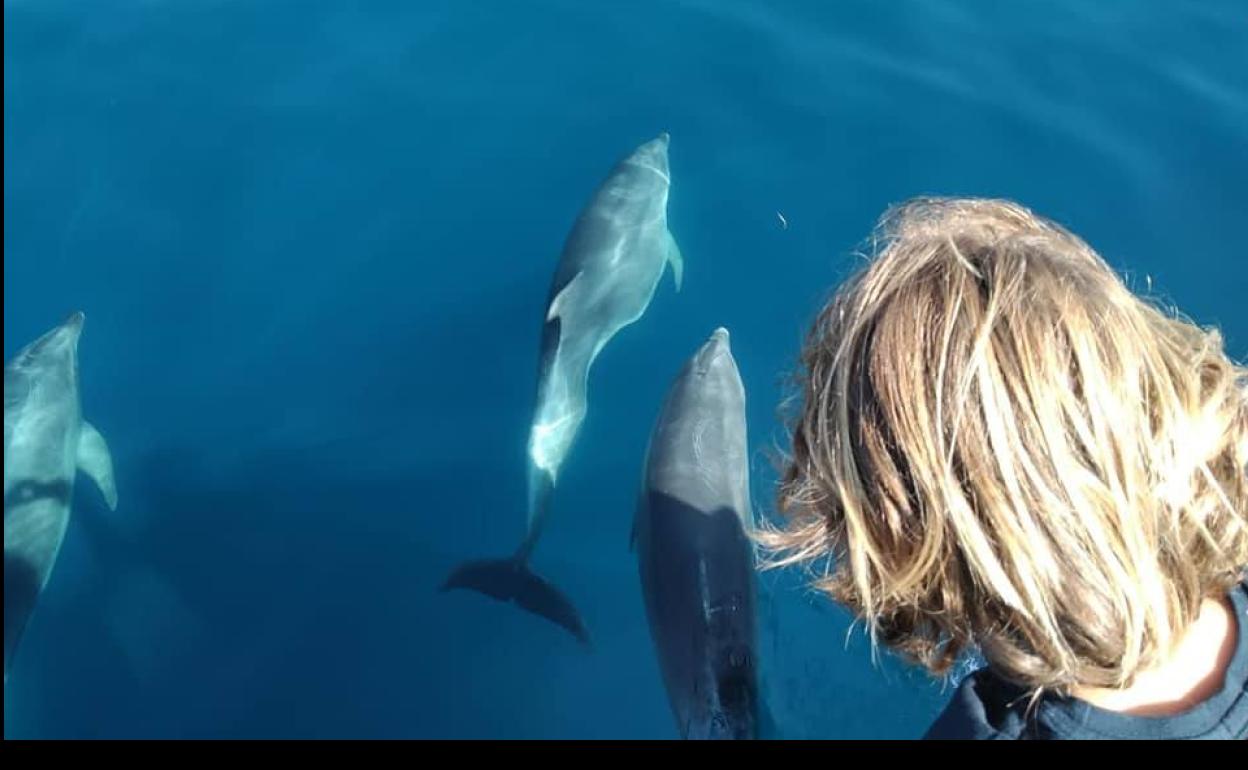 Imagen captada desde Blancazul del mar de Alborán, donde se concentra la mayor población de delfines mulares del Mediterráneo occidental