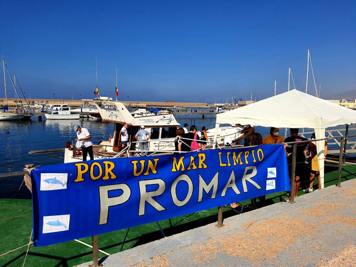 Fotos: Blancazul surca la costa de Adra en el Día de las Tortugas Marinas