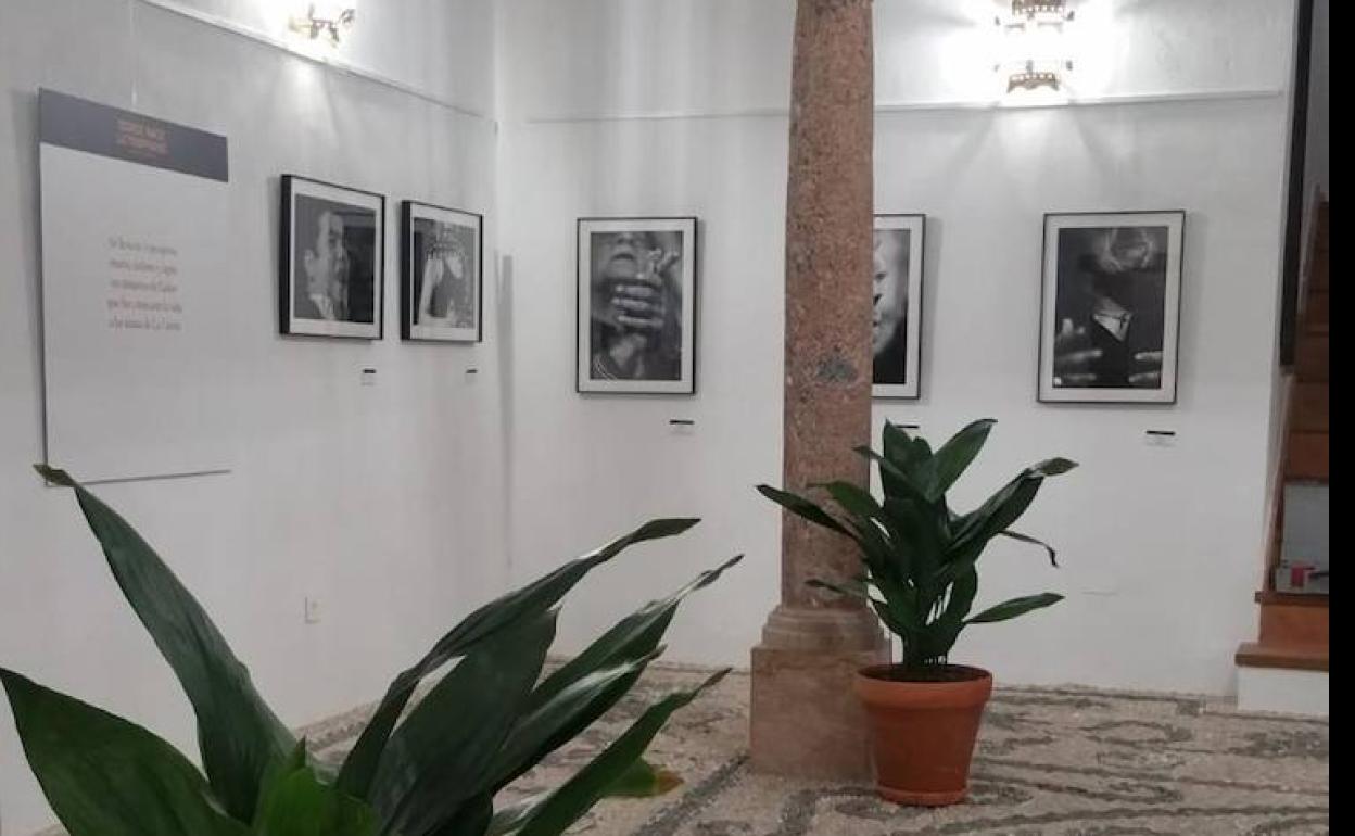 El flamenco, protagonista en Laujar en Donde Nace lo Temprano