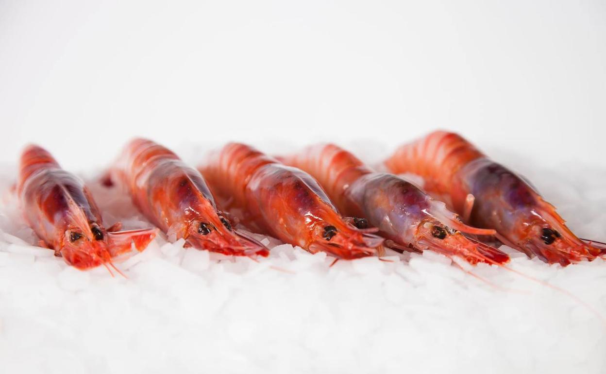 Calafate comercializa carabineros, cigalas, gamba blanca y gamba roja. 