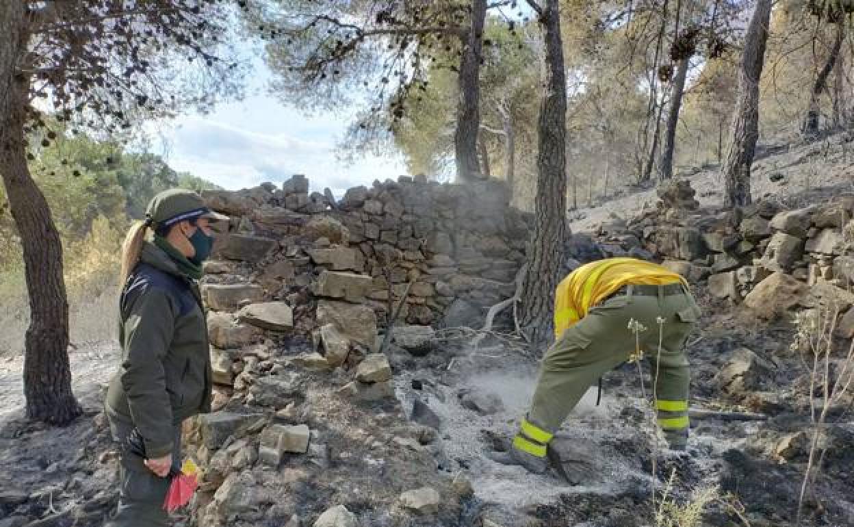 Labores de remate y extinción en el área afectada de Castala, en la Sierra de Gádor. 