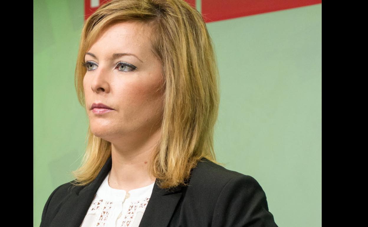 El PSOE de Adra acusa a Cs de retirarse de la moción de censura para obtener una licencia de obra