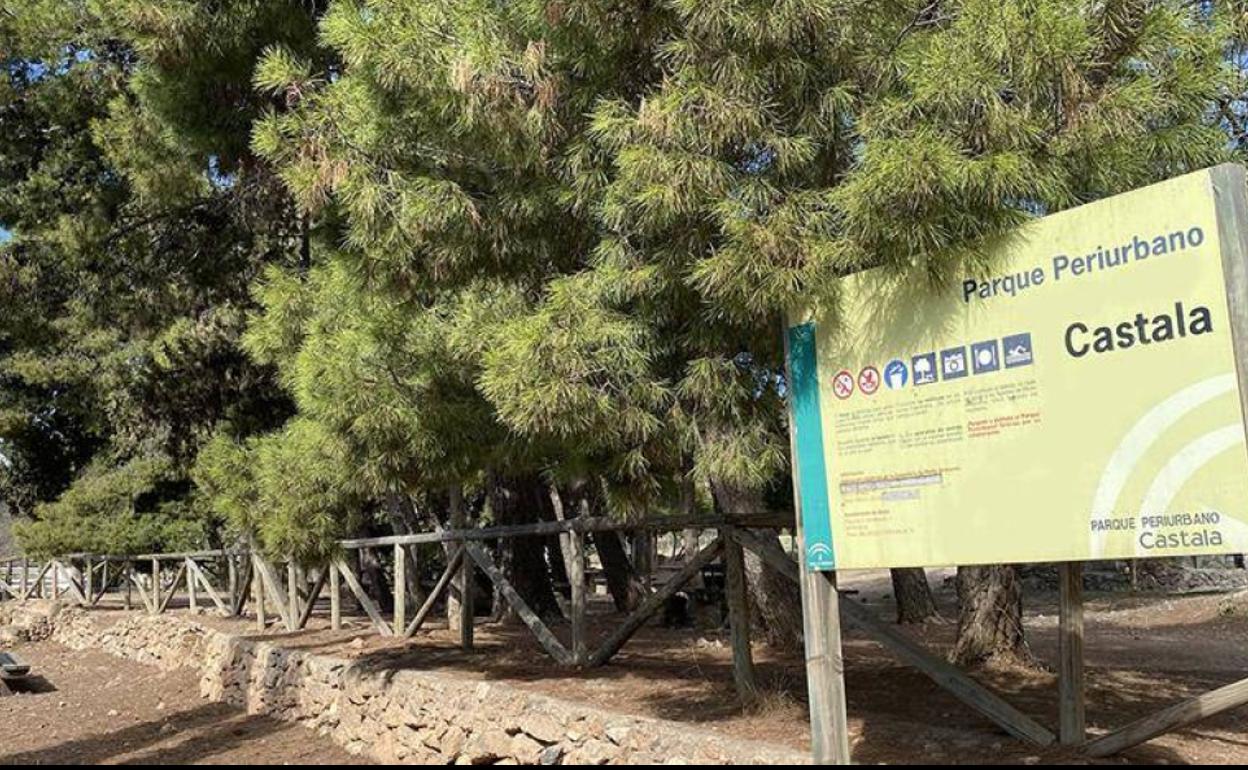 Investigadores de la UAL se implican en la recuperación de Castala tras el incendio
