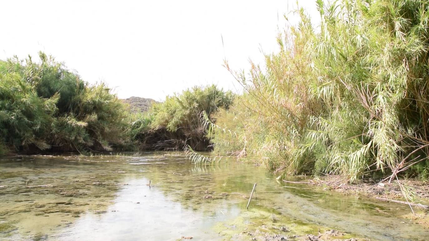Adra dedica un documental al río que lleva su nombre