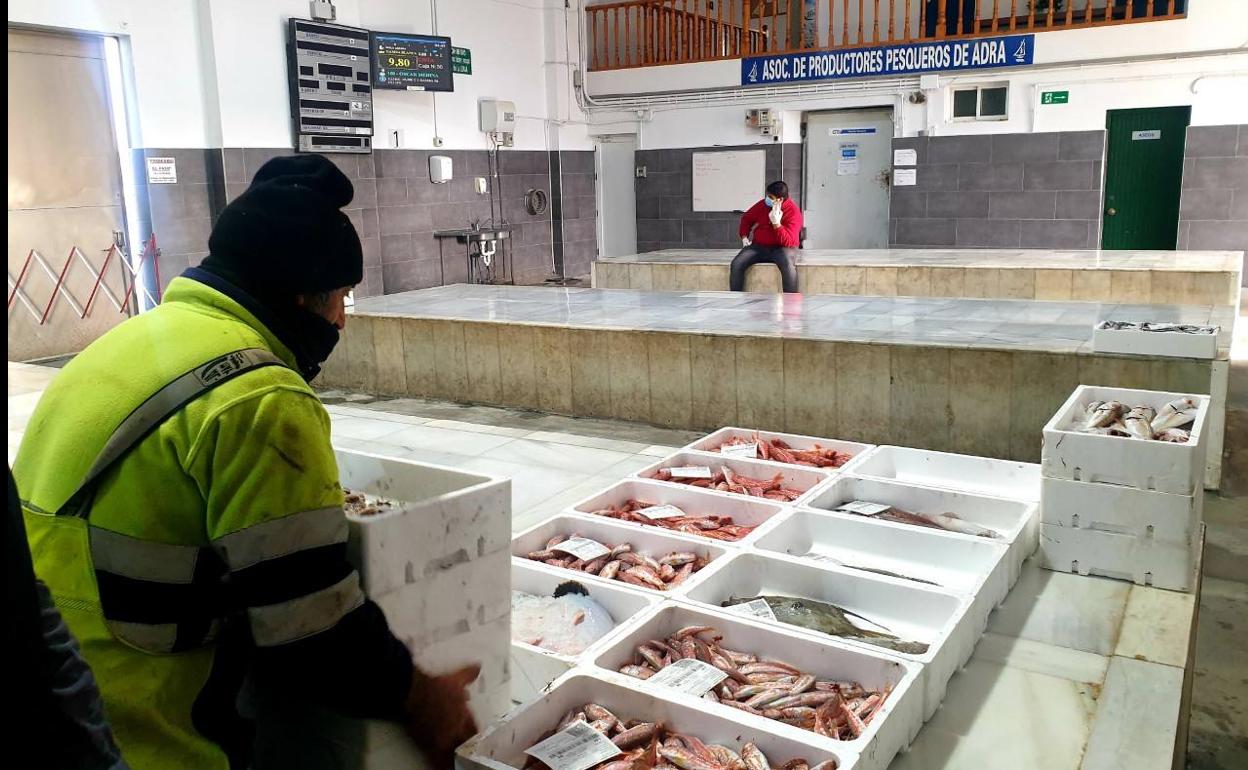 Imagen de archivo de la lonja de Adra. 