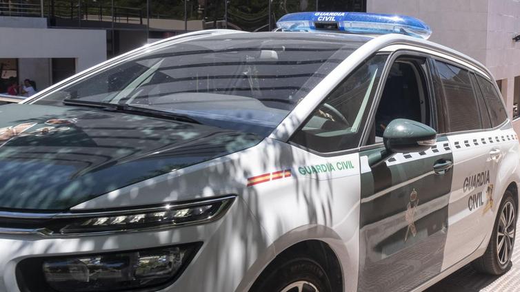 Dos detenidos tras encontrar 700 plantas de marihuana en un garaje de Berja