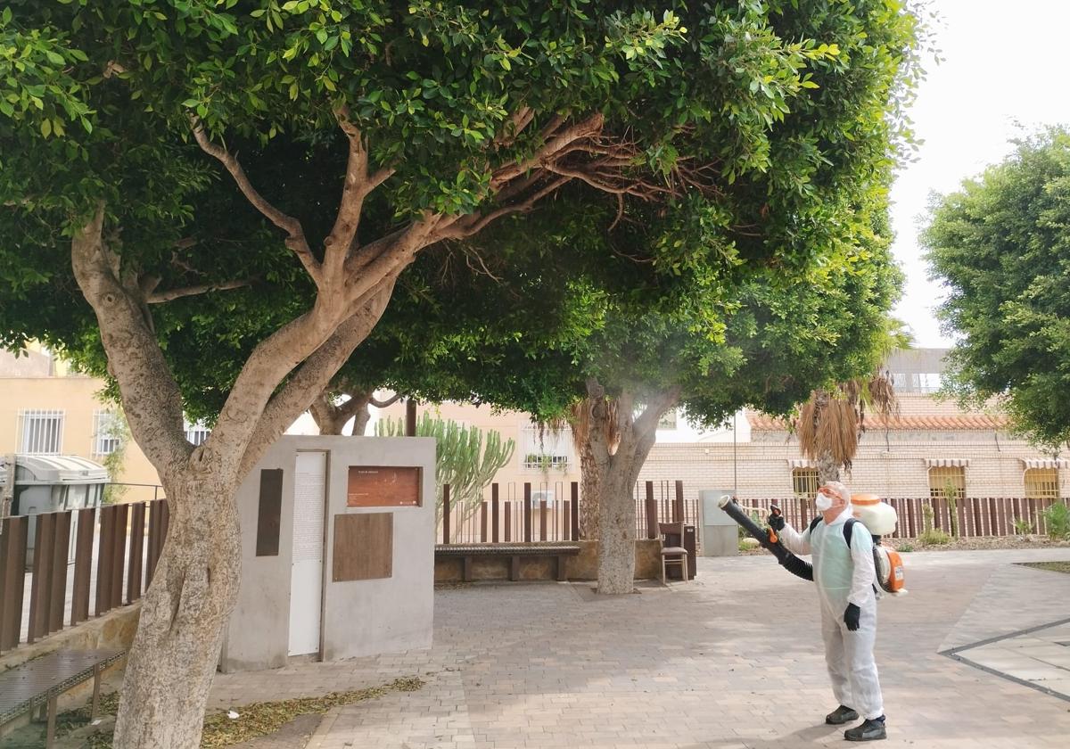 Operarios municipales llevan a cabo un plan de limpieza y desinfección «intensivo»