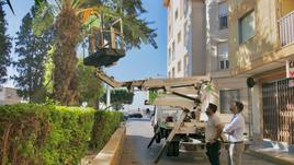 Se retoman los trabajos de poda en Los Jardincillos