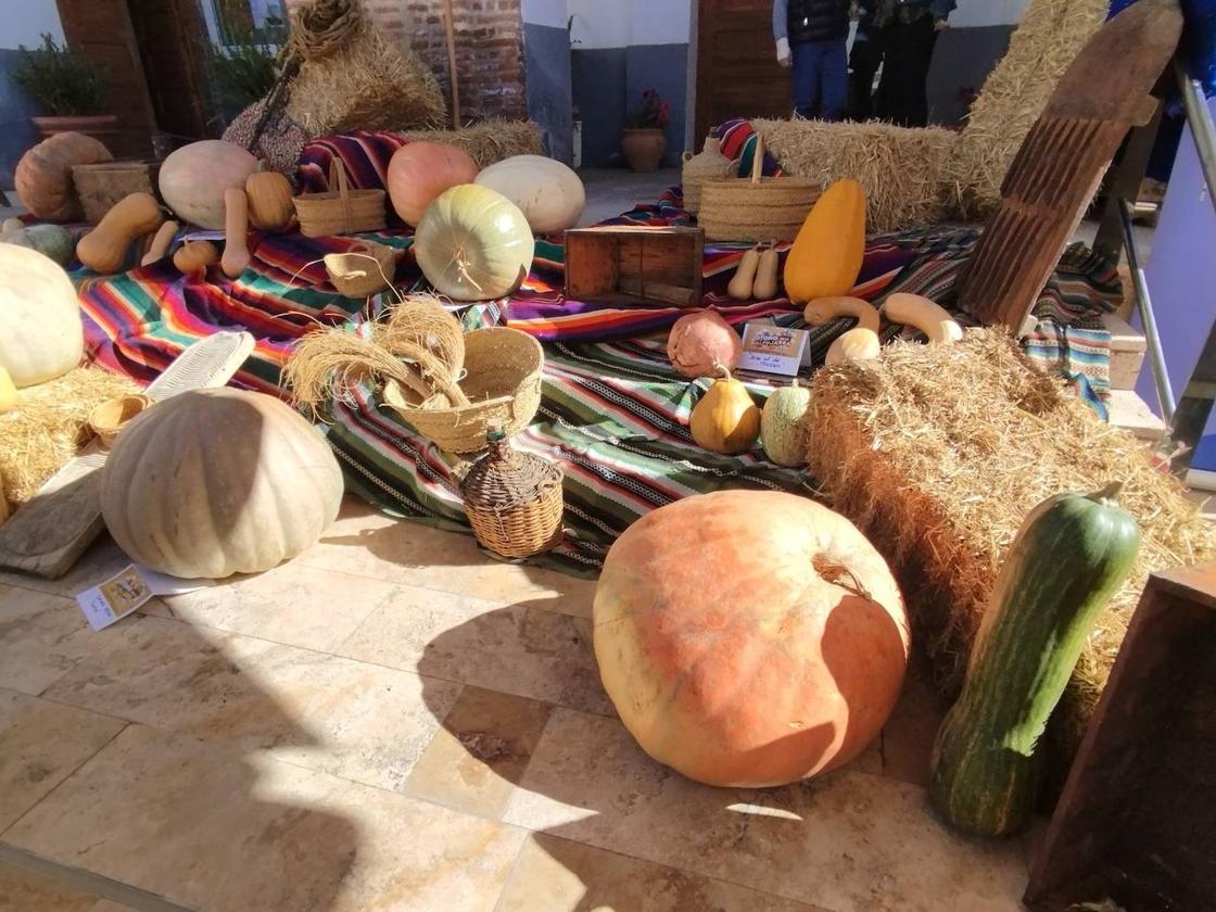 Premio a una calabaza de 65 kilos en Laujar de Andarax