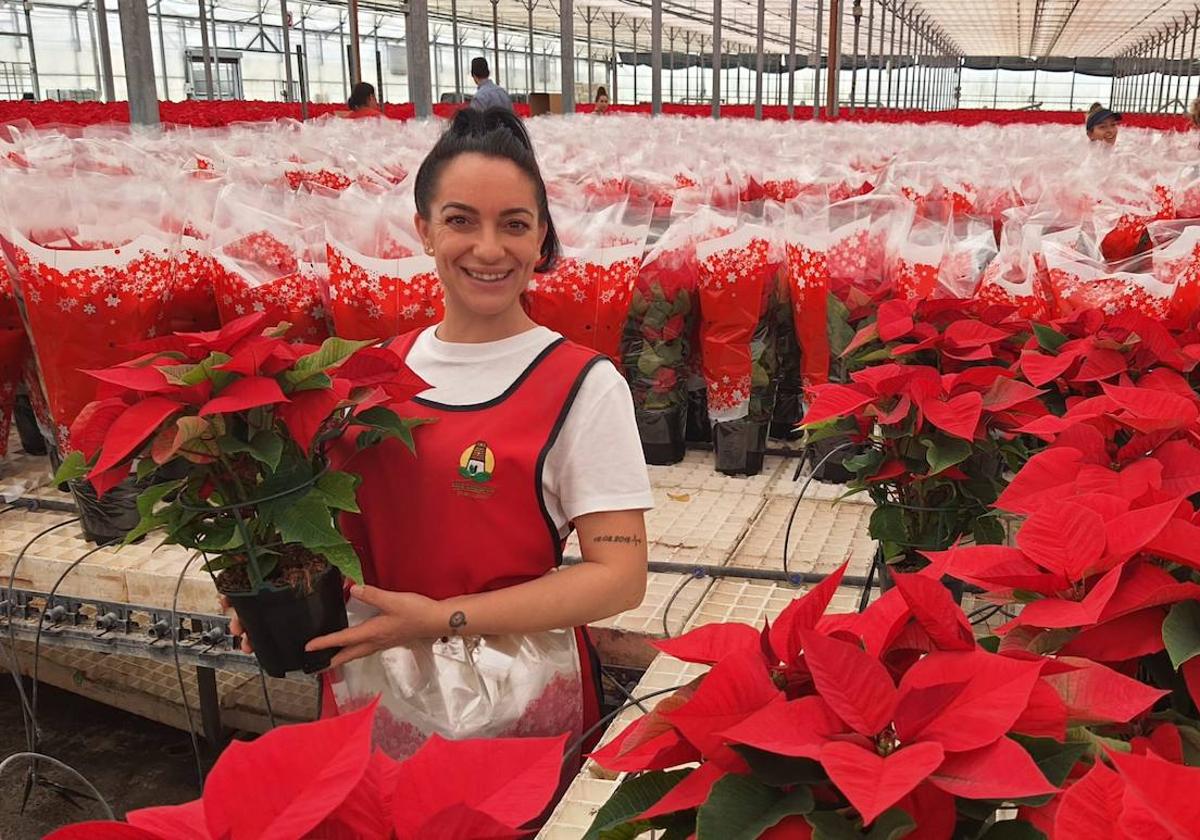 El color de la Navidad está en Almería