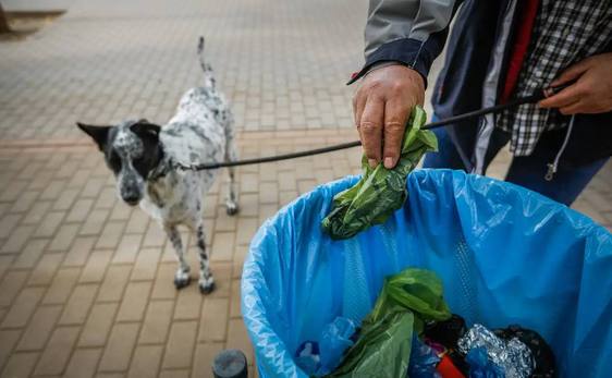 Recoger las heces, una obligación.