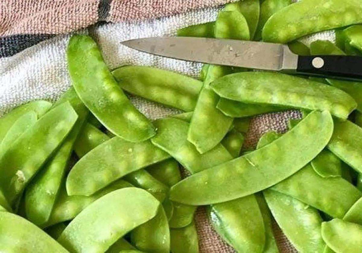 Dalías prepara sus jornadas de présules para el mes de marzo