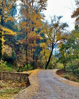 Laujar propone siete rutas de senderismo guiadas