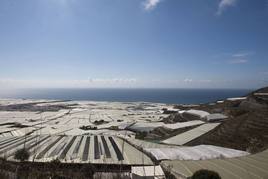 Adra sancionará a las explotaciones agrícolas sin recogida de pluviales