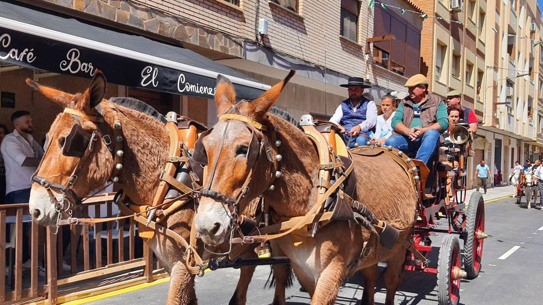Adra vitorea al patrón de los labradores en su día grande