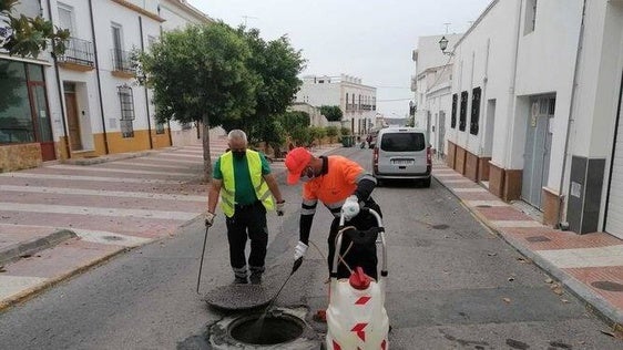 Una empresa externa se hará cargo del control de plagas en Dalías
