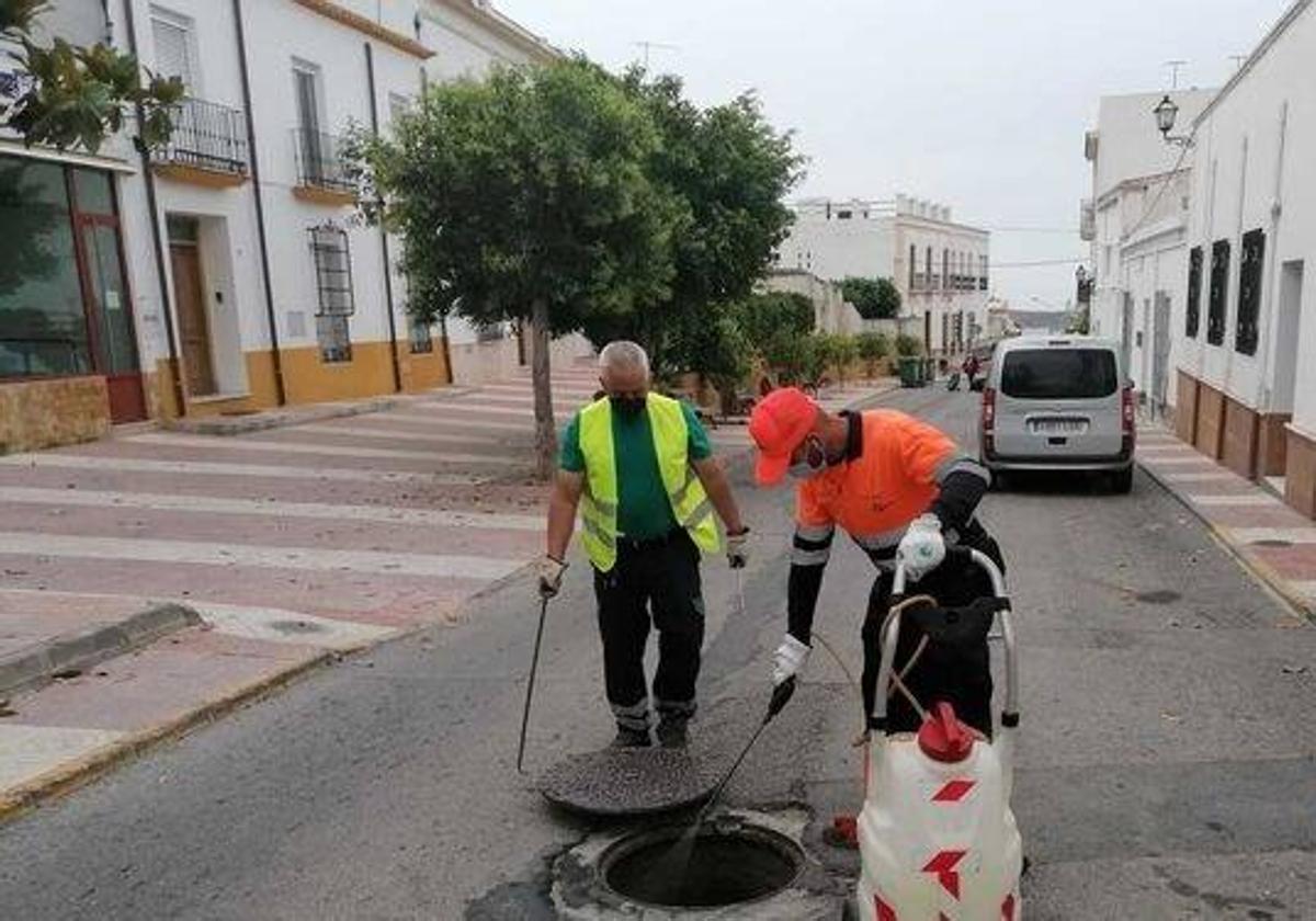 Una empresa externa se hará cargo del control de plagas en Dalías