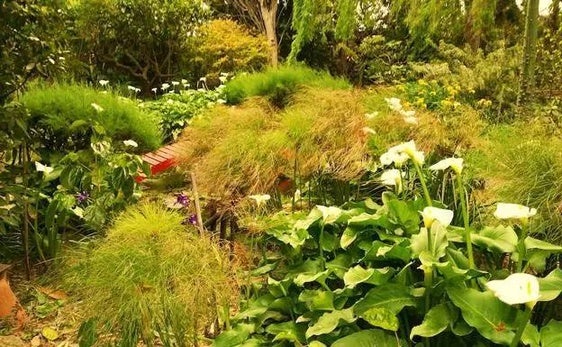 Adra acepta la propuesta de Plataforma y creará un jardín botánico