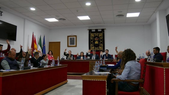 Adra recibe cerca de 800.000 euros para renovar el alumbrado público