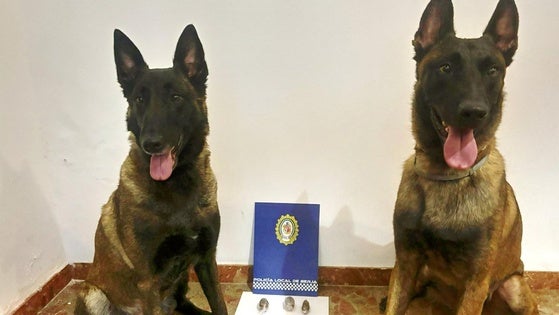 Detenido un hombre en Berja por llevar 86 gramos de hachís en sus partes íntimas