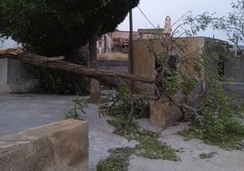 El Ayuntamiento de Dalías evalúa los daños provocados por la DANA en más de 3 millones de euros