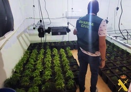 Una de las habitaciones habilitadas para cultivar marihuana en la vivienda registrada.