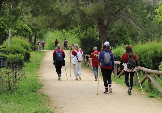 Un grupo de peregrinos en su ruta hacia Dalías.