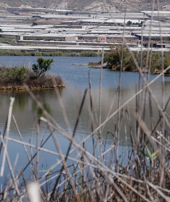 Imagen secundaria 2 - Un millón de euros de inversión para mejorar y conservar la Albufera de Adra