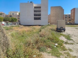 Solar de Adra donde los vecinos y vecinas han econtrado pulpas y garrapatas.