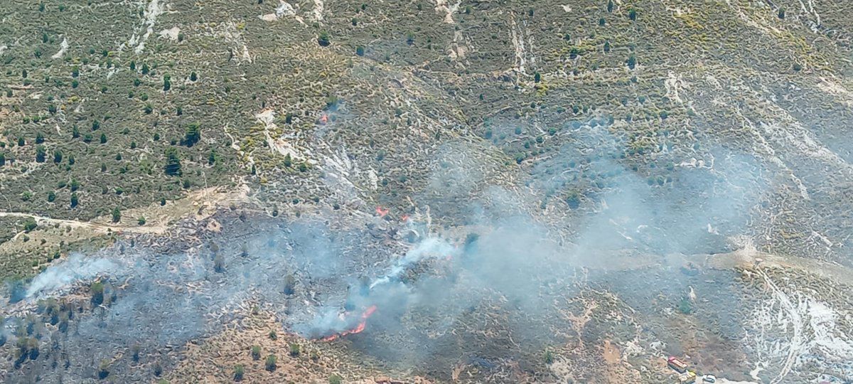 Incendio forestal declarado en Berja.