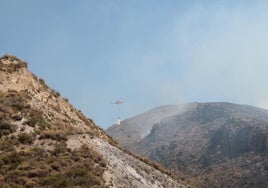 Controlado el incendio forestal del paraje Río Chico de Berja