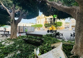 Dalías refuerza las labores en el municipio.