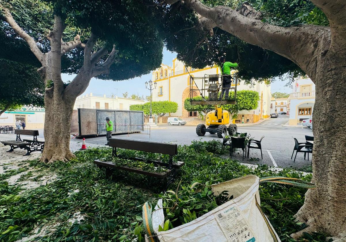 Dalías refuerza las labores en el municipio.