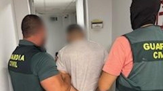 Desmantelan en Balanegra una plantación de marihuana con cerca de medio millar de plantas
