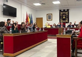 Pleno municipal en el Ayuntamiento de Adra.