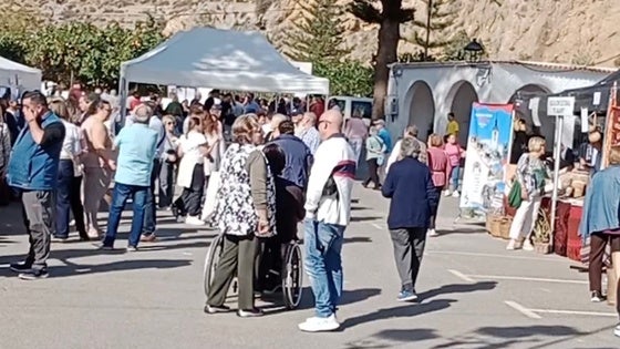 La Alpujarra fortalece su tejido social con la IV Feria de Asociaciones en Almócita