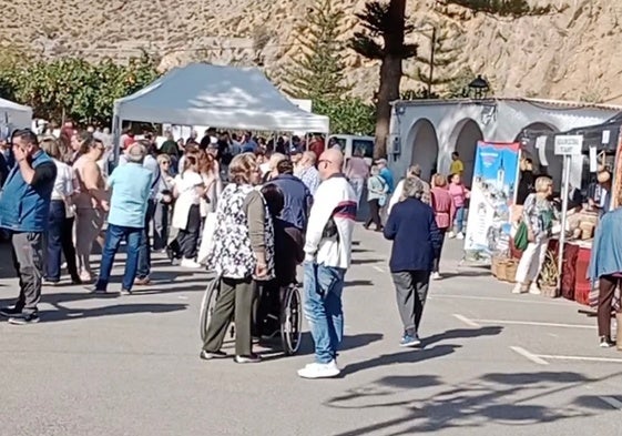 La Alpujarra fortalece su tejido social con la IV Feria de Asociaciones en Almócita