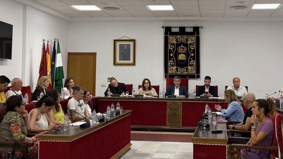 Adra aprueba un presupuesto de 34 millones de euros «inversor, social y centrado en la mejora de servicios»