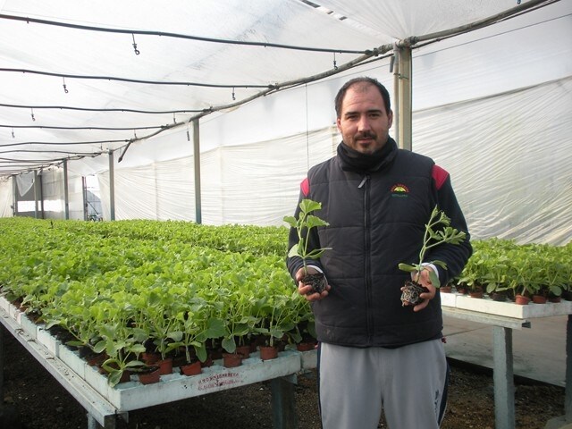 250 jóvenes almerienses se han incorporado a la agricultura en los últimos años con apoyo público