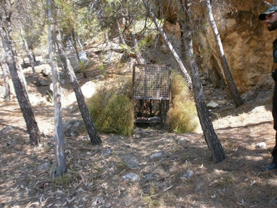 El Seprona y Agentes de Medio Ambiente de la Junta establecen un operativo para capturar un felino que podría ser una pantera, en el área recreativa de Castala