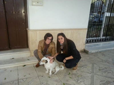 El pueblo de Dalías se vuelca con Blanquito, un perro callejero herido por perdigones