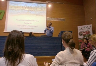 La Junta informa al sector agrícola sobre el virus ‘New Delhi’ para prevenir sus efectos en la próxima camapaña hortícola