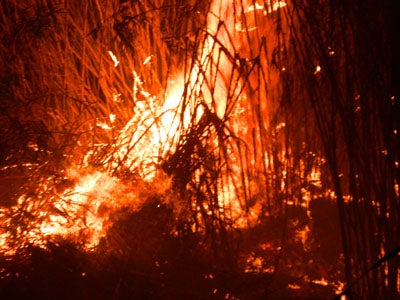 El Ayuntamiento de Adra insta a la Junta a limpiar el río tras el incendio de ayer
