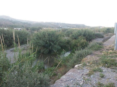 Medio Ambiente insta al Ayuntamiento y al Gobierno central a encauzar el río Adra