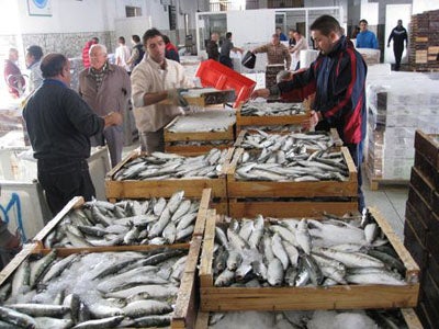 El valor de las exportaciones de pescado y molusco de Almería se incrementa un 8,3% hasta noviembre de 2013